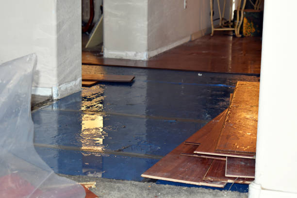 Professional Water Damage technician working in Pfafftown, NC