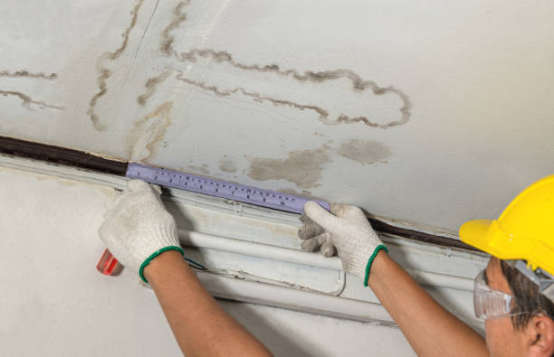 Reliable Water Damage contractor in Pfafftown, NC by Water Damage Irwin